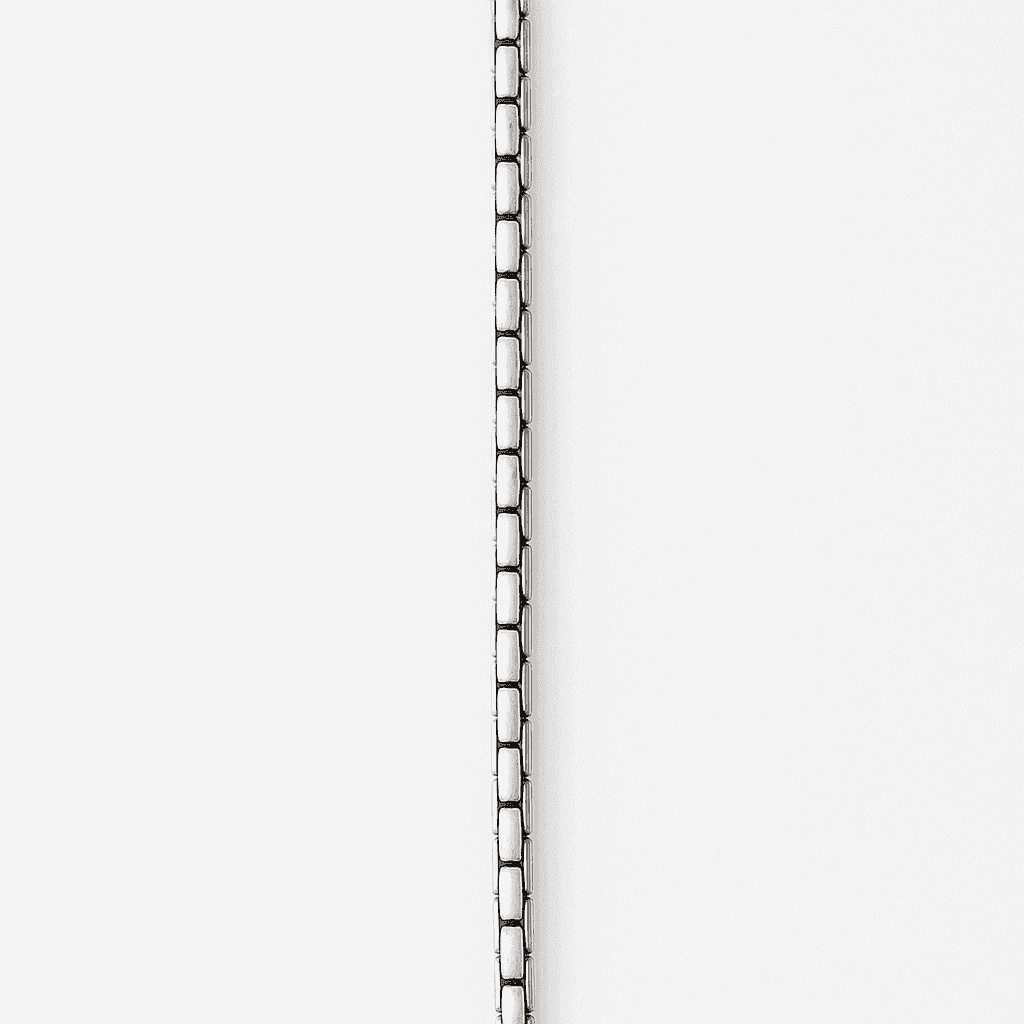 The 925 Sterling Silver Legacy Chain - Celestora - India - S-Hook Clasp - men - Chains