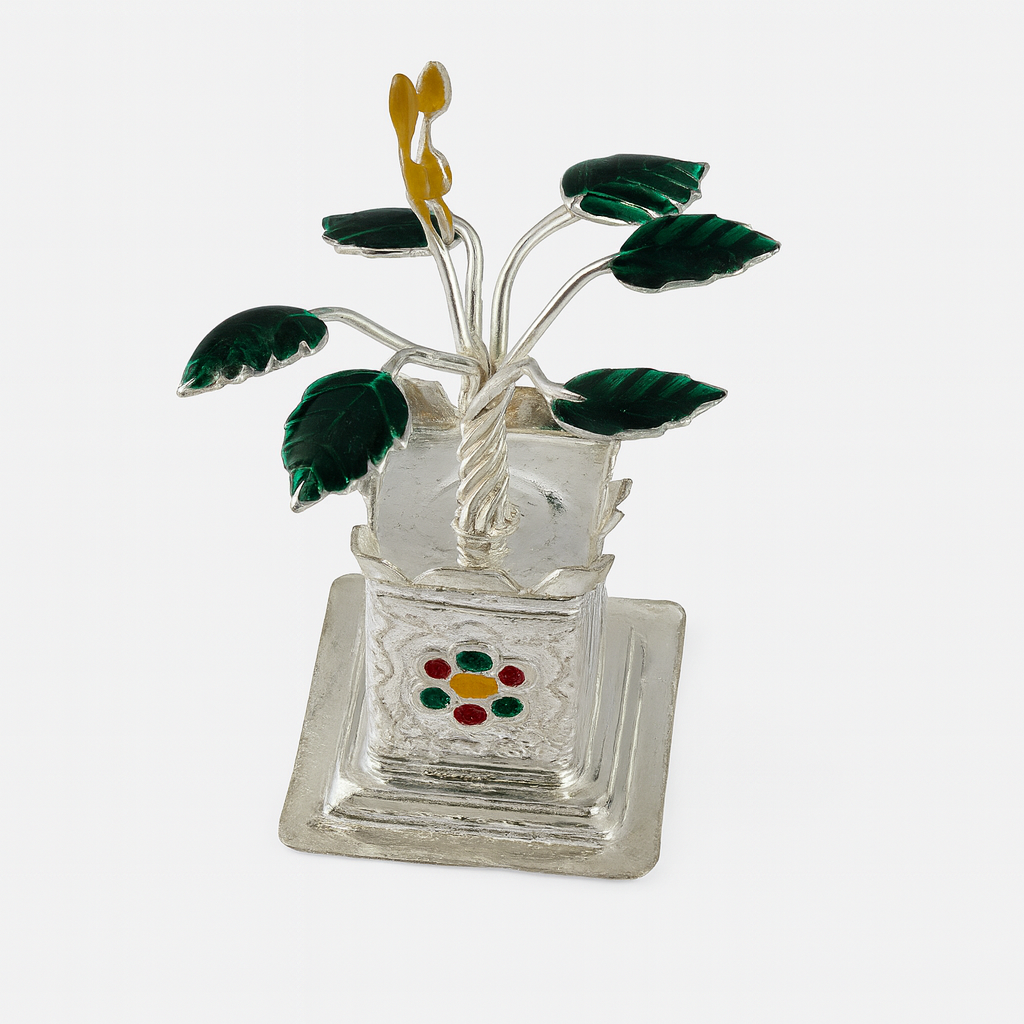 Silver Divine Tulsi Plant