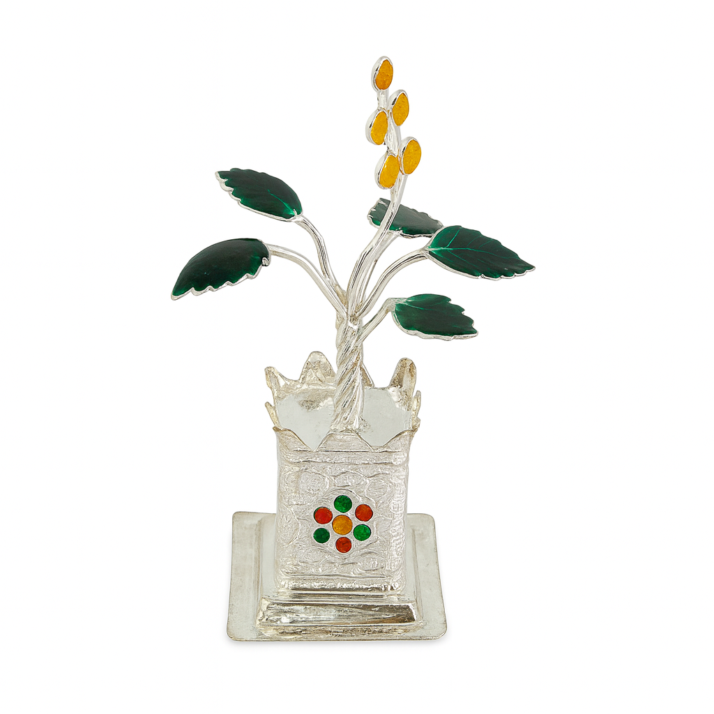 Silver Divine Tulsi Plant