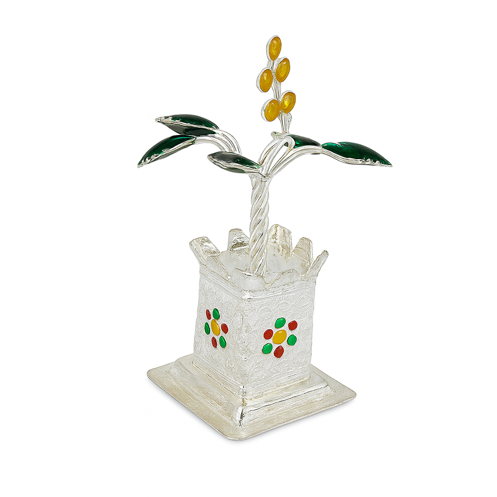 Silver Divine Tulsi Plant
