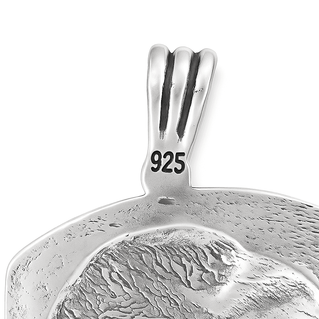The 925 Sterling Silver Eagle Pendant - Celestora - India - - - Pendants for Men, Boys, Gift for Men, Brother, Boyfriend, Husband