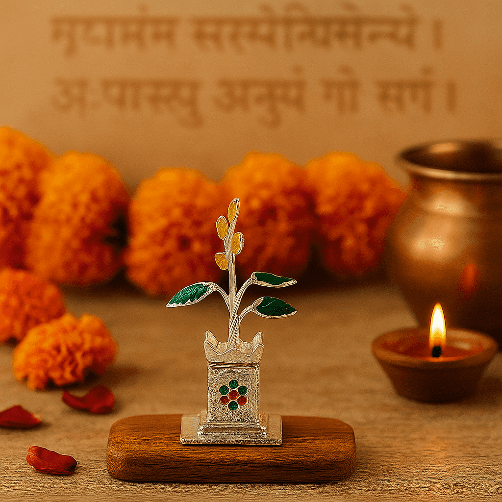 Silver Divine Tulsi Plant - Celestora - India - - - Home Decor for Men, Boys, Gift for Men, Brother, Boyfriend, Husband