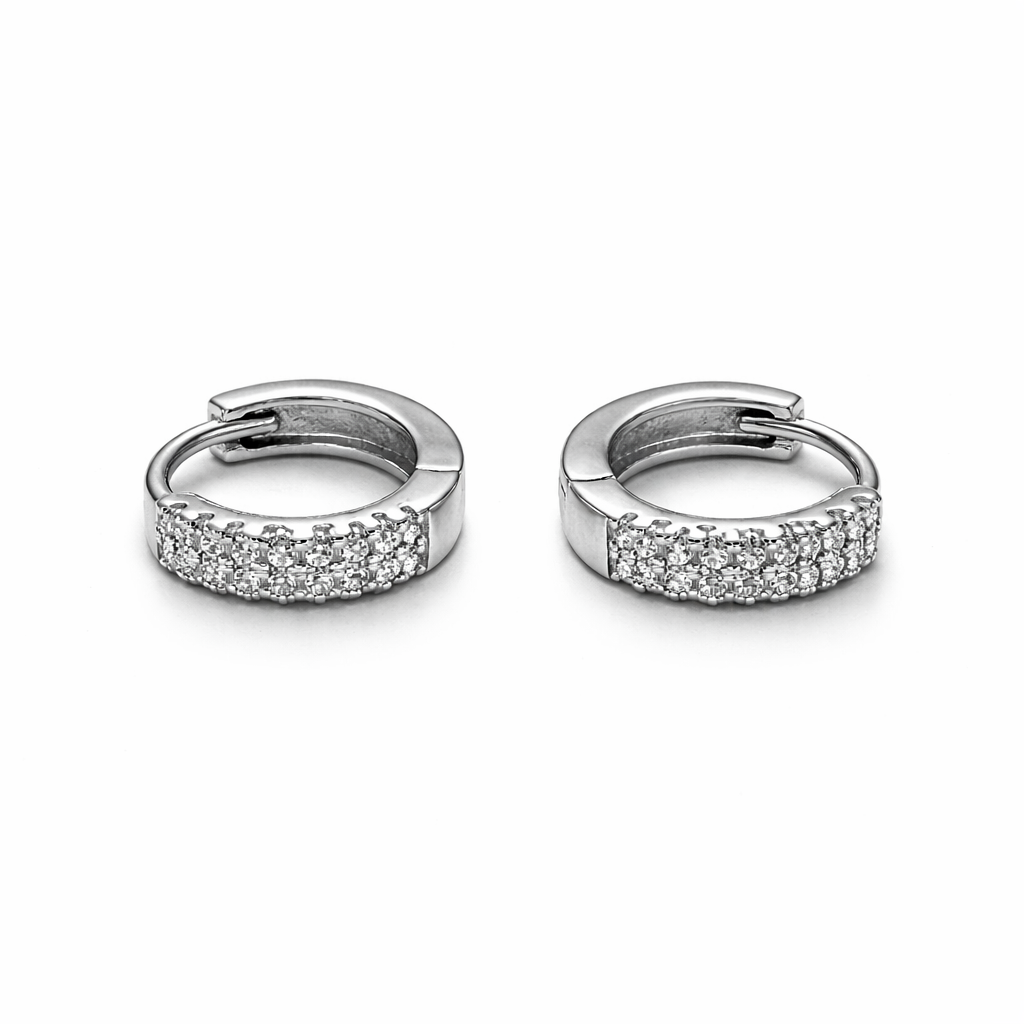 Pretty Zircon Earrings