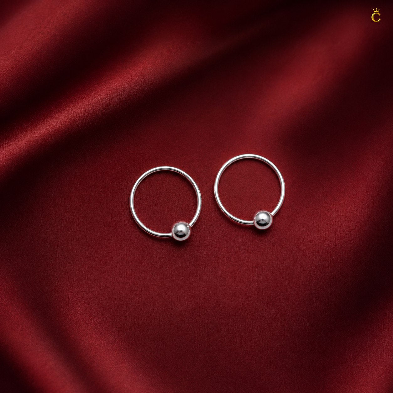 Sleek Circular Earrings