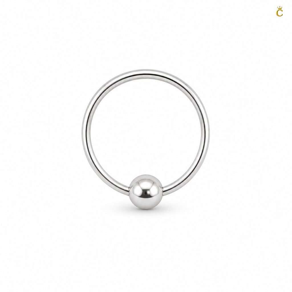 Sleek Circular Earrings