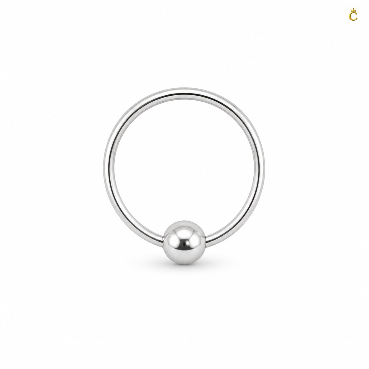 Sleek Circular Earrings