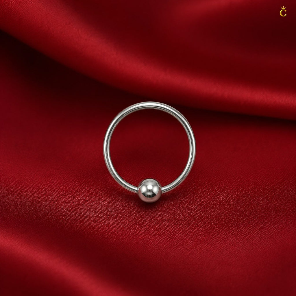 Sleek Circular Earrings