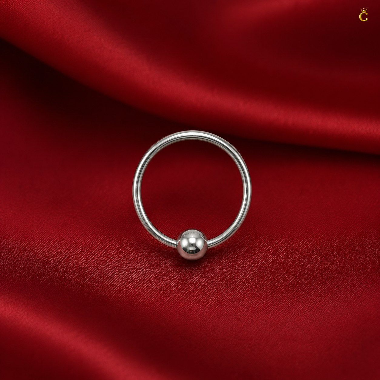Sleek Circular Earrings