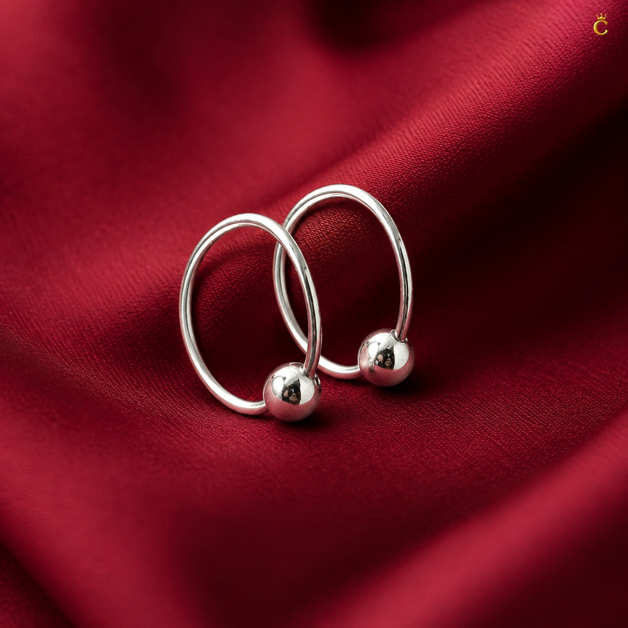 Sleek Circular Earrings
