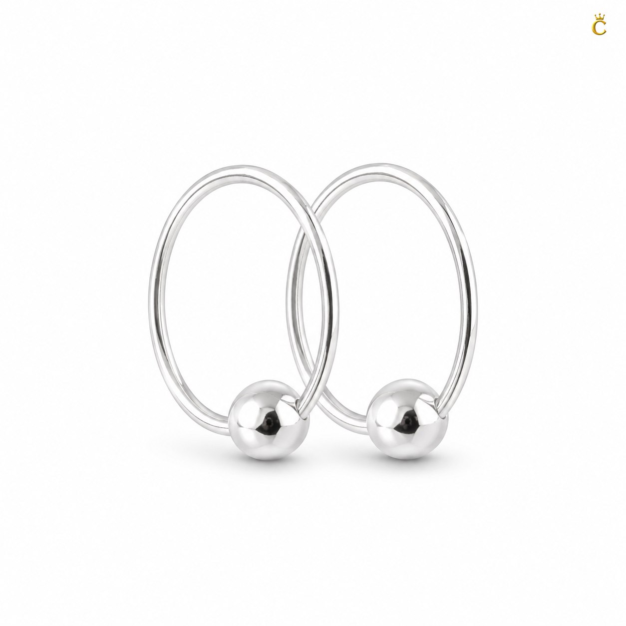 Sleek Circular Earrings