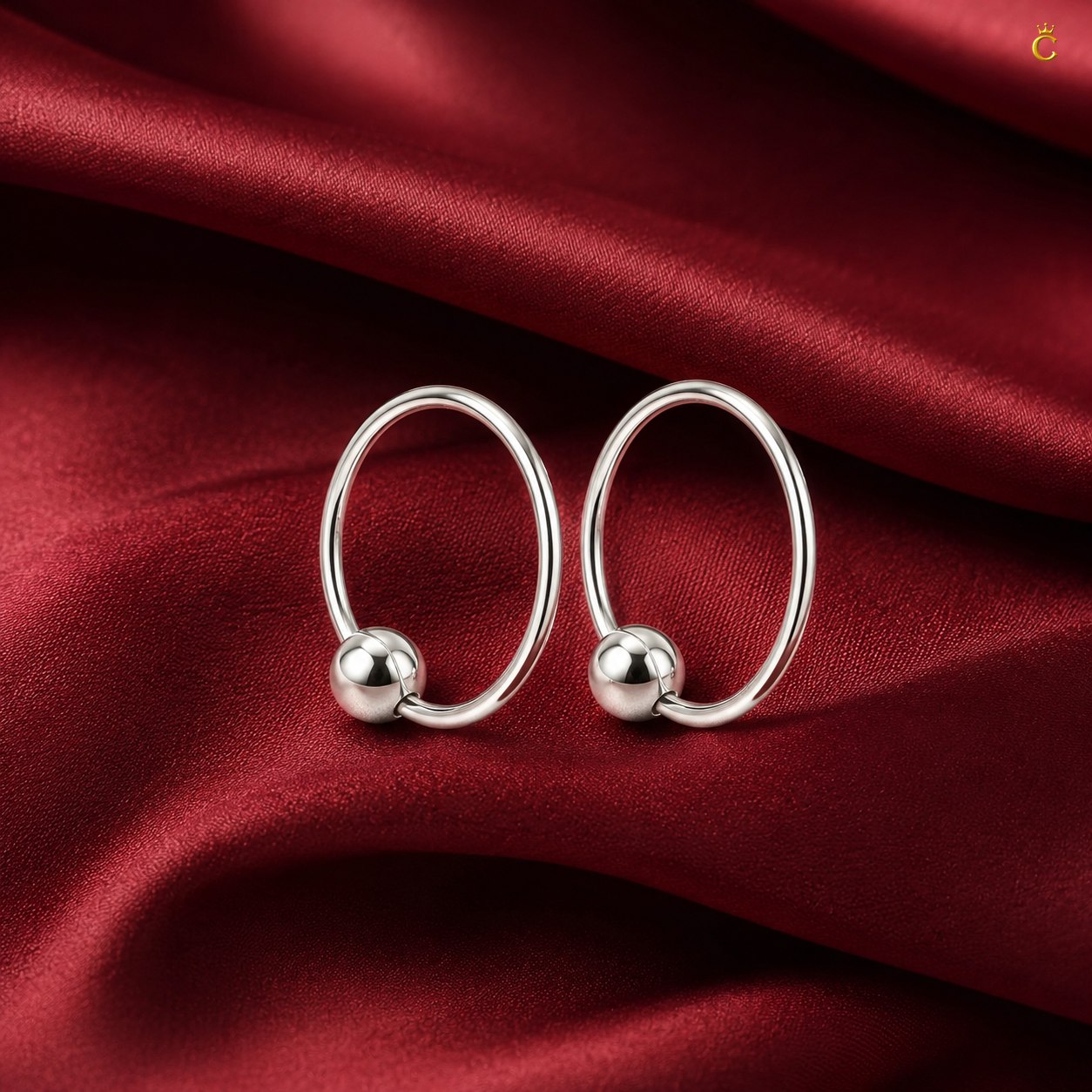 Sleek Circular Earrings