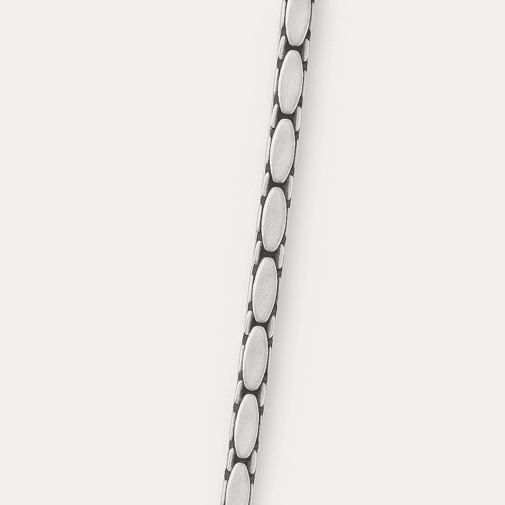 The 925 Sterling Silver Pulse Chain - Celestora - India - - - Chains for Men, Boys, Gift for Men, Brother, Boyfriend, Husband