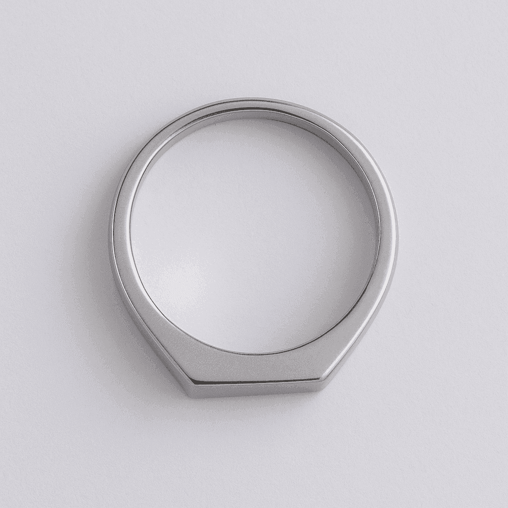 The 925 Sterling Silver Power Bar Ring - Celestora - India - Strength (Size 9) - - Ring for Men, Boys, Gift for Men, Brother, Boyfriend, Husband